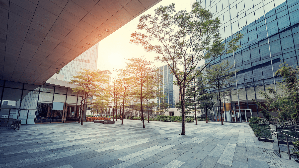 The Institute of Certified Bookkeepers (ICB): Leading the Way in Education Innovation